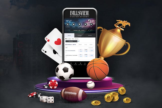The Ultimate Guide to Ginja Bet Your Key to Winning Online